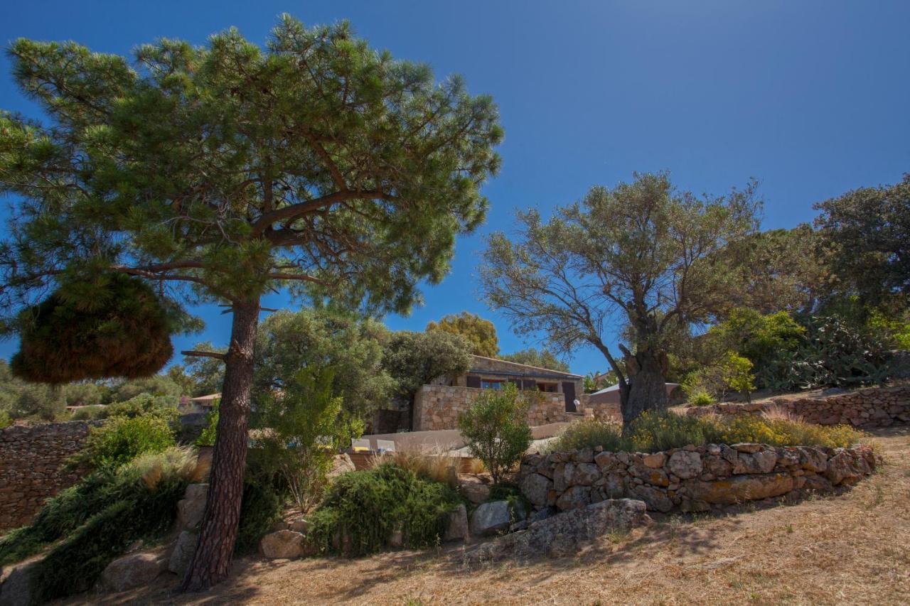 Villa Bodri, Maison En Pierre Avec Vue Mer Et Piscine Chauffee LʼÎle-Rousse 外观 照片