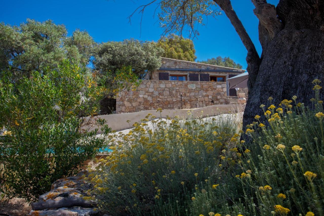 Villa Bodri, Maison En Pierre Avec Vue Mer Et Piscine Chauffee LʼÎle-Rousse 外观 照片